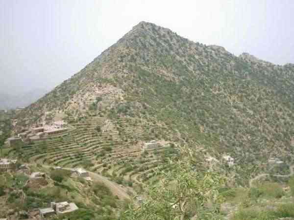 الحوثي يحاول إسقاط جبل هان غرب تعز