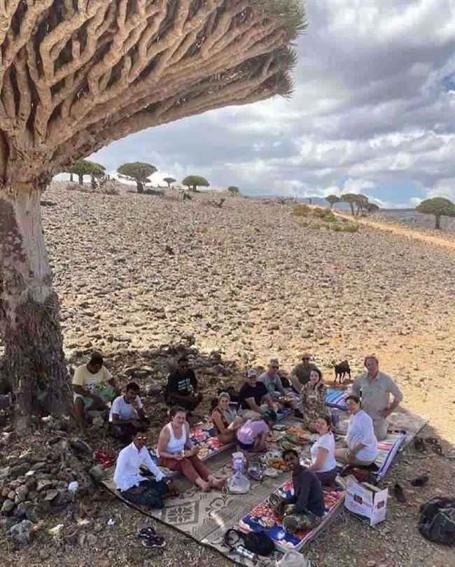 شاهد ماذا قال سائح بريطاني بعد زيارته إلى سقطرى .. بلاد العجائب والغرائب