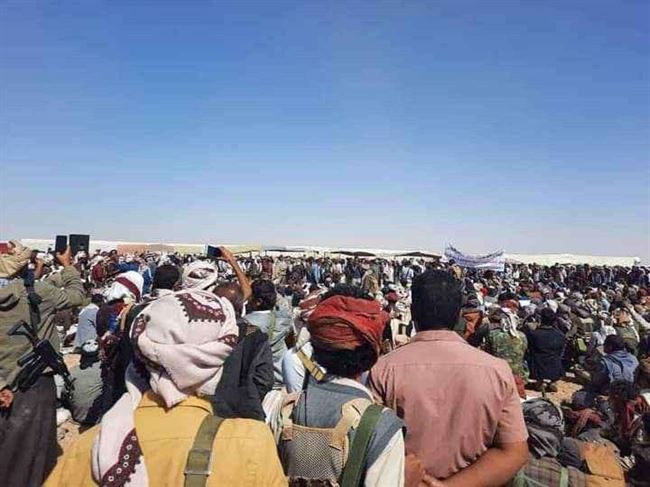 شاهد .. قبائل شبوة في الوطأة بنصاب للمشاركة في لقاء ابن الوزير 