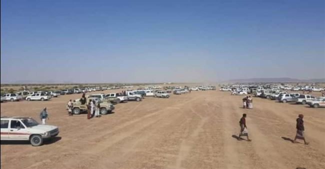سلطة بن عديو الإخوانية تحاول إفشال لقاء أبناء شبوة في الوطأة
