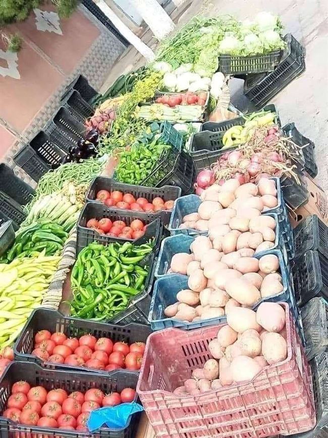 تحركات طفيفه بأسعار الفواكه والخضروات اليوم الإثنين