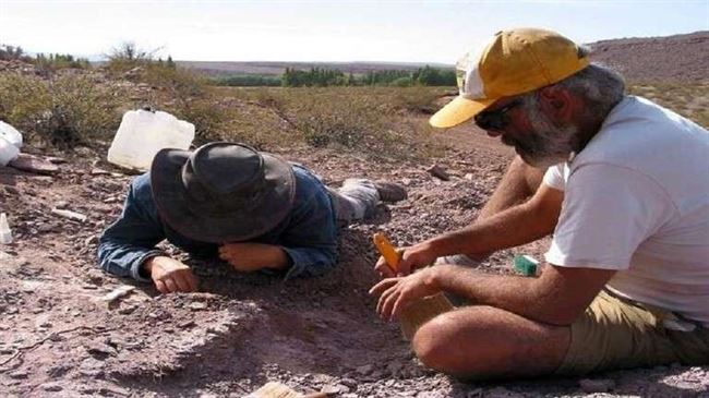 اكتشاف نوع من الديناصورات لا أسنان له