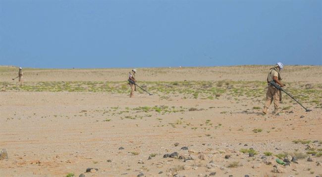 نزع 823 لغما خلال أسبوع في اليمن