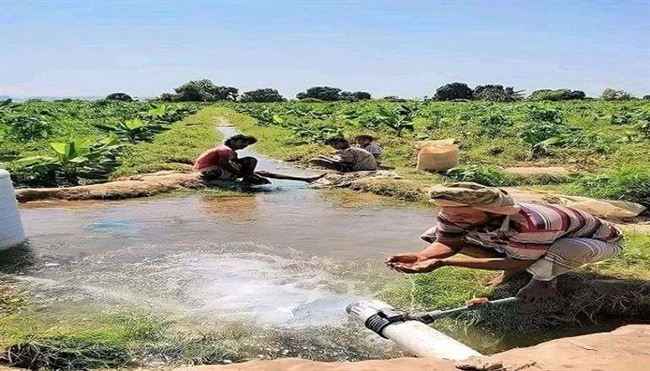 فرمان حوثي يعجل بوصول المجاعة إلى أبواب اليمنيين