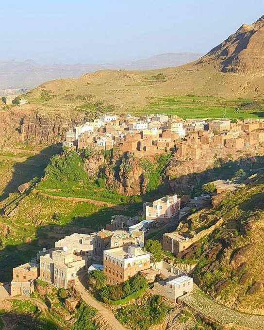 مقتل شقيقين في البيضاء .. والسبب صادم