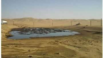 مجهولون يفجرون أنبوب نفطي بشبوة