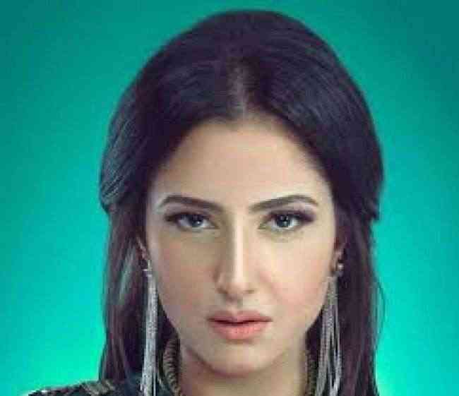 حنان مطاوع بطلة أمام هانى سلامة فى مسلسل "طاقة نور" رمضان المقبل