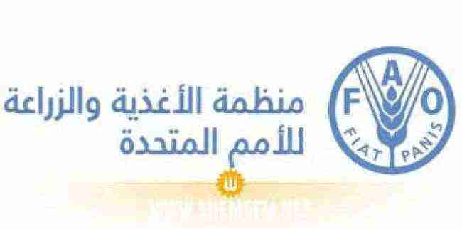 الفاو تنظم ورشة عمل في مجال الامن الغذائي بعدن
