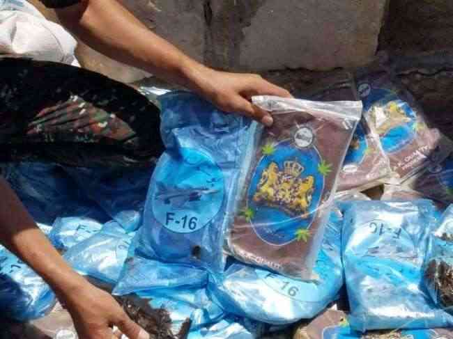 الجوف: ضبط كميات كبيرة من الحشيش المخدر كانت في طريقها الى صنعاء